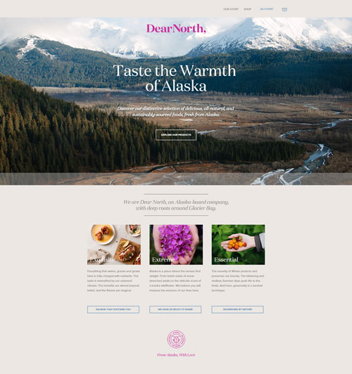 DearNorth-Home2-500x532